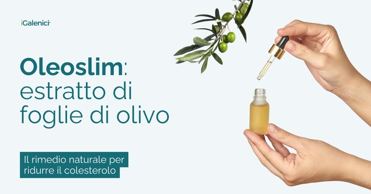 Oleoslim L Estratto Di Foglie Di Olivo Che Riduce I Livelli Di Colesterolo