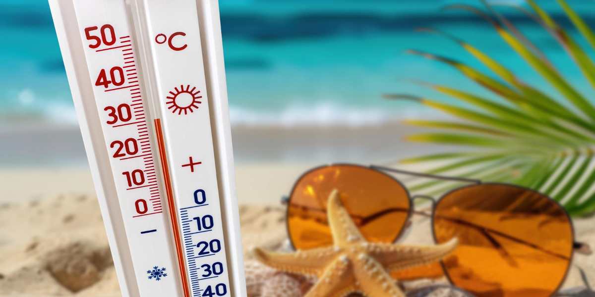 termometro su una spiaggia con stella marina e occhiali da sole